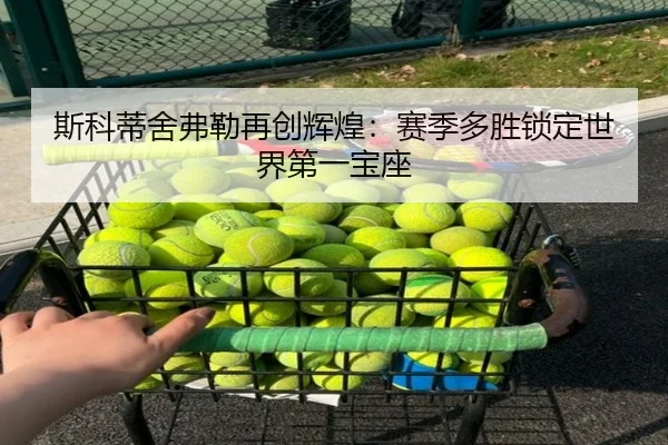 si-ke-di-she-fu-lei-zai-chuang-hui-huang-sai-ji-duo-sheng-suo-ding-shi-jie-di-yi-bao-zuo-2-386.jpg