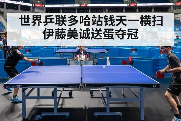 世界乒联多哈站钱天一横扫伊藤美诚送蛋夺冠